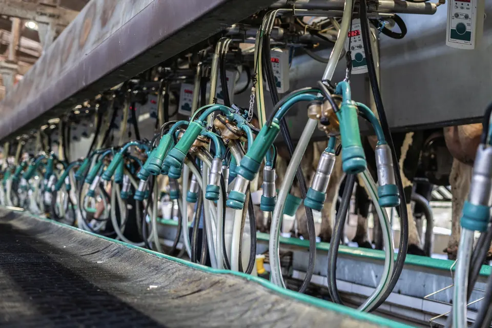 A row of green and blue hoses on a farm